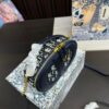 Replica Dior Bag 17*10CM