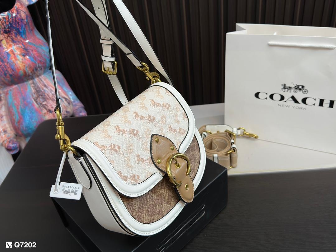 Replica Coach Bag 18*22CM