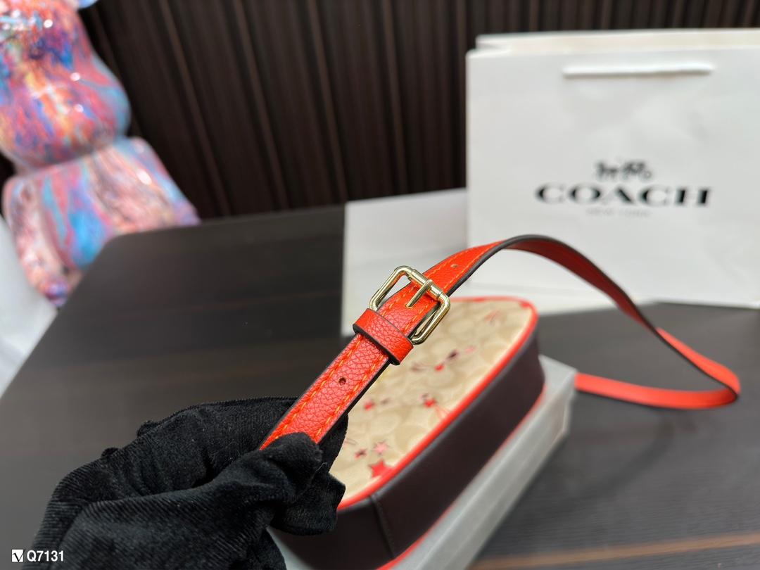 Replica Coach Bag 12*23CM