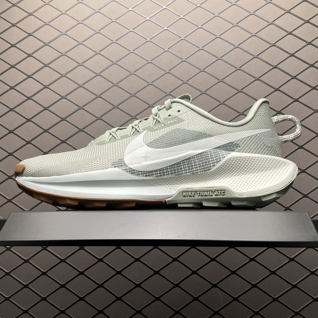 Replica Nike Shoe Nike Peactx Pegasus Trail 5 DV3864-304