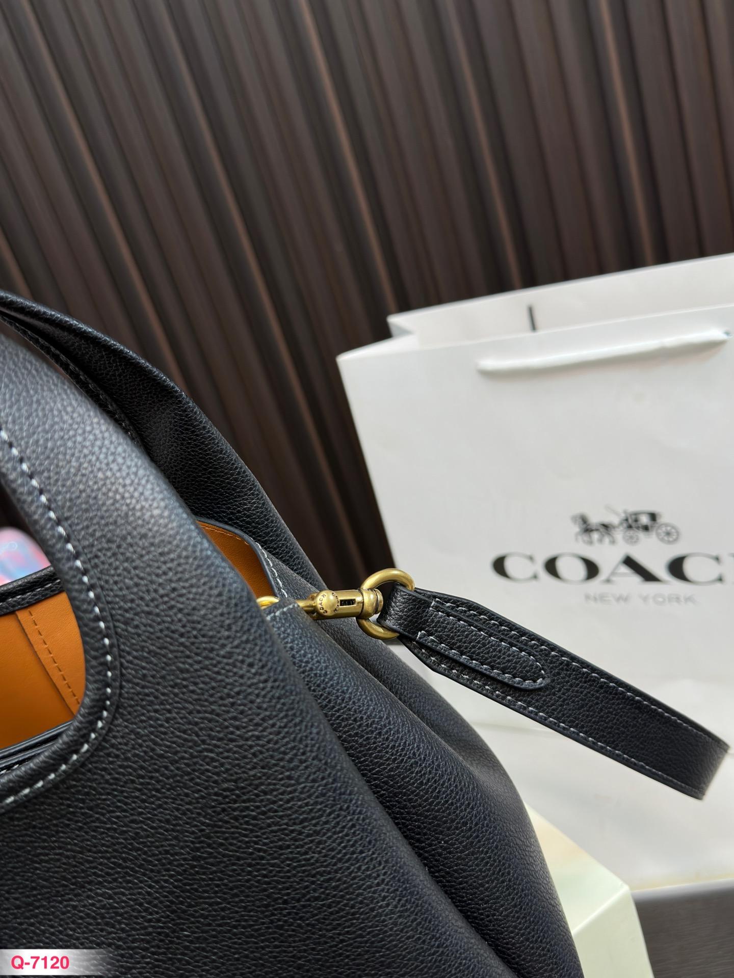 Replica Coach Bag 26*18CM
