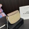 Replica Coach Bag 17*20CM
