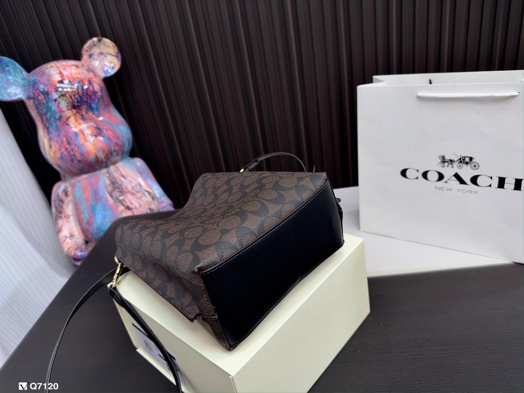 Replica Coach Bag 20*22CM