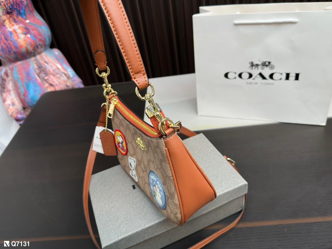 Replica Coach Bag 12*23CM