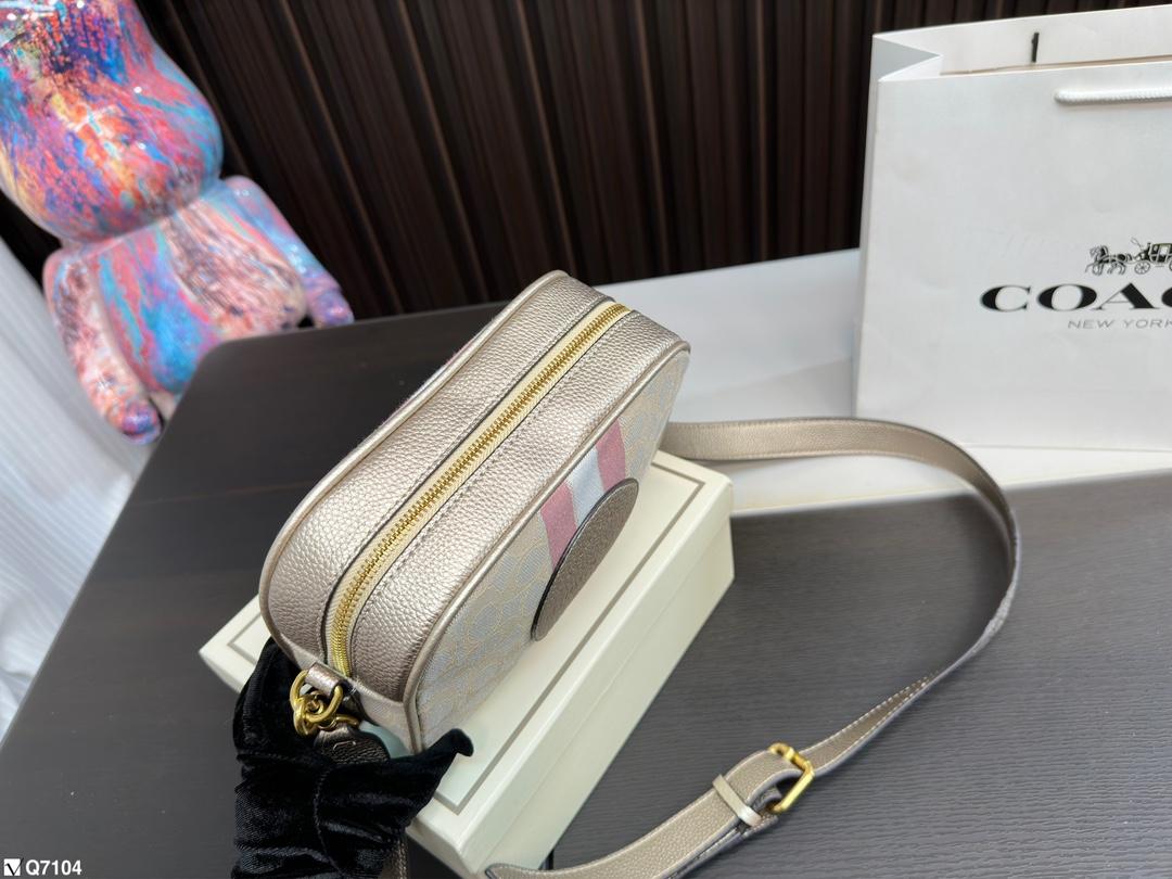 Replica Coach Bag 21*15CM