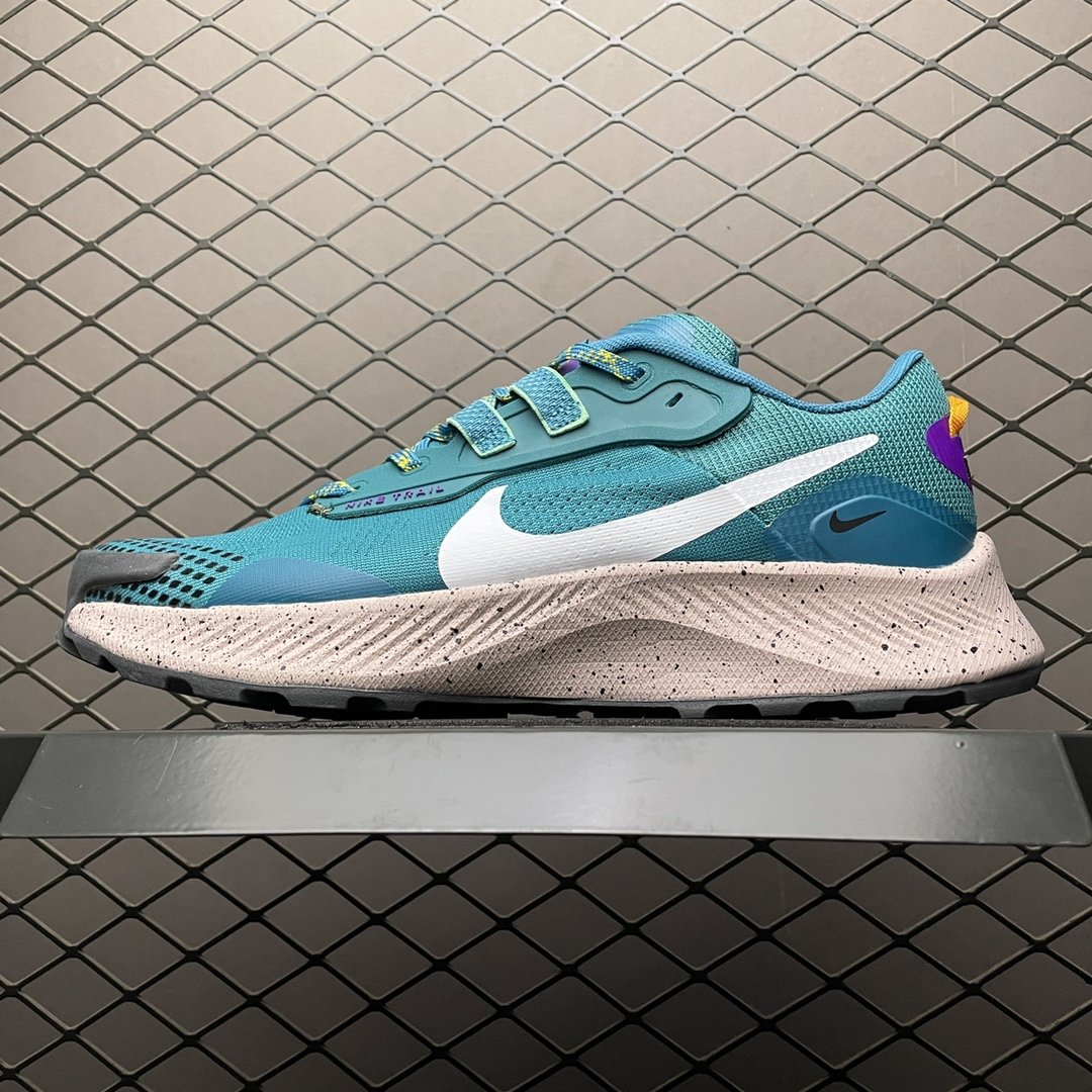 Replica Nike Shoe Nike Pegasus Trail 3 T3 DA8698-300 Size40 40.5_01340
