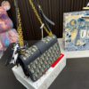 Replica Dior Bag 24*15CM