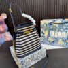 Replica Dior Bag  24*24CM/17*17CM