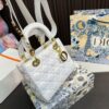 Replica Dior Bag 17*20CM
