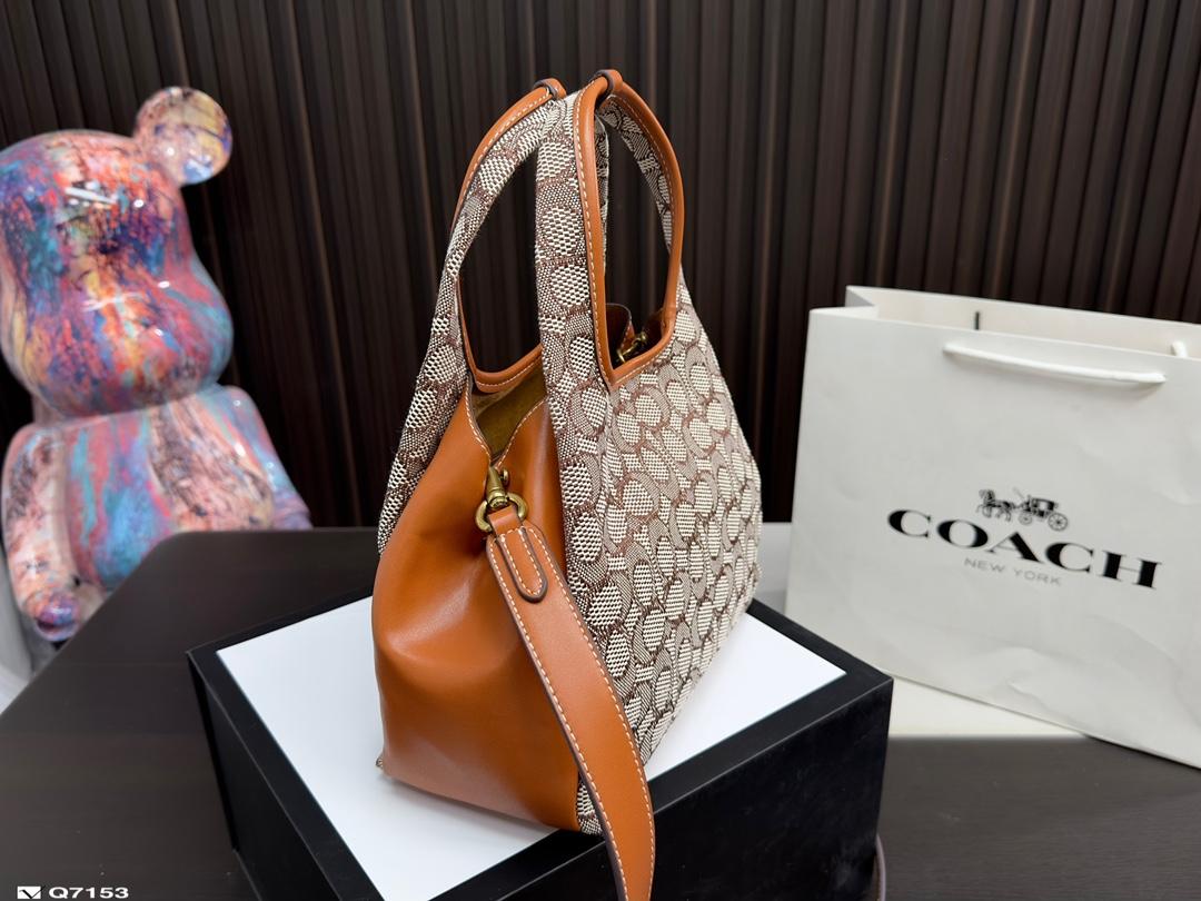 Replica Coach Bag 25*18CM