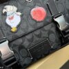 Replica Coach Bag 27*20CM
