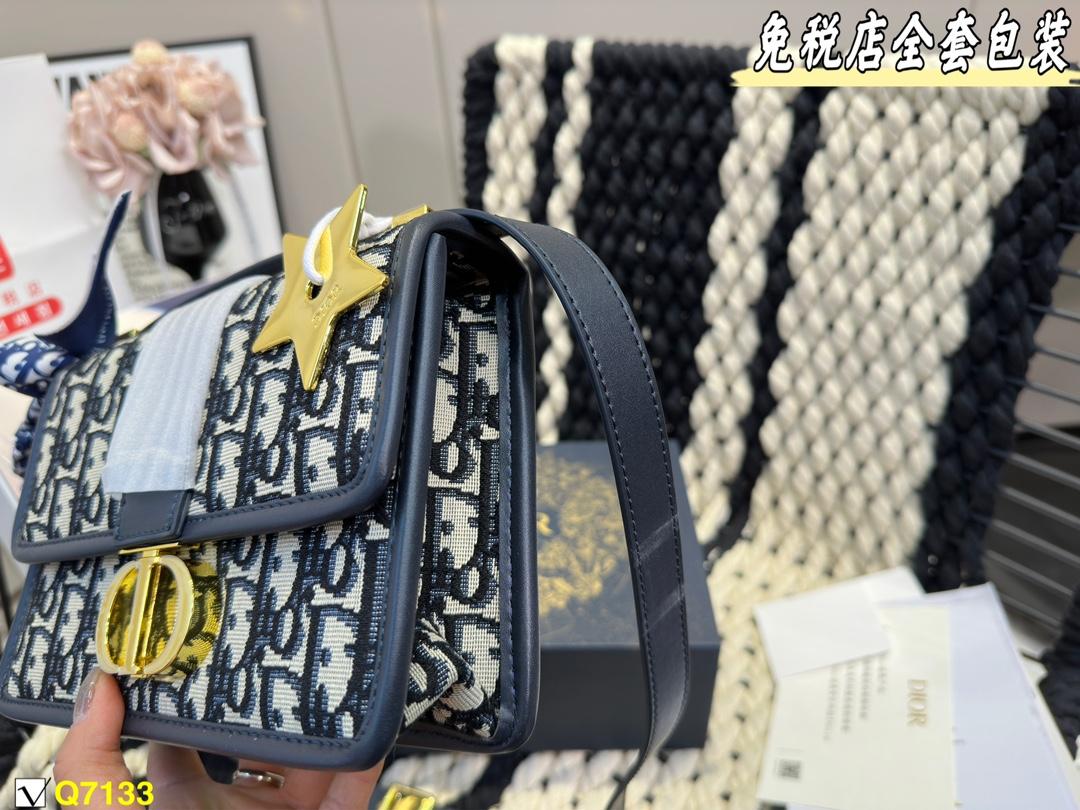 Replica Dior Bag 21*15CM