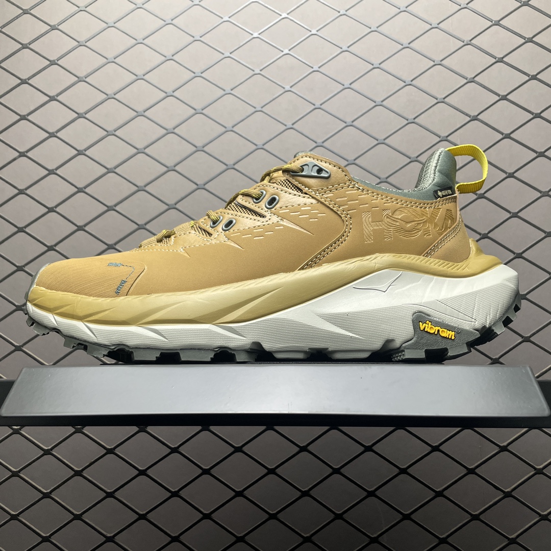 Replica HOKA Shoe Hoka 2 Low GTX  1123190