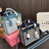 Replica Coach Bag 21CM