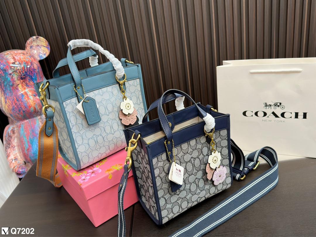 Replica Coach Bag 21CM
