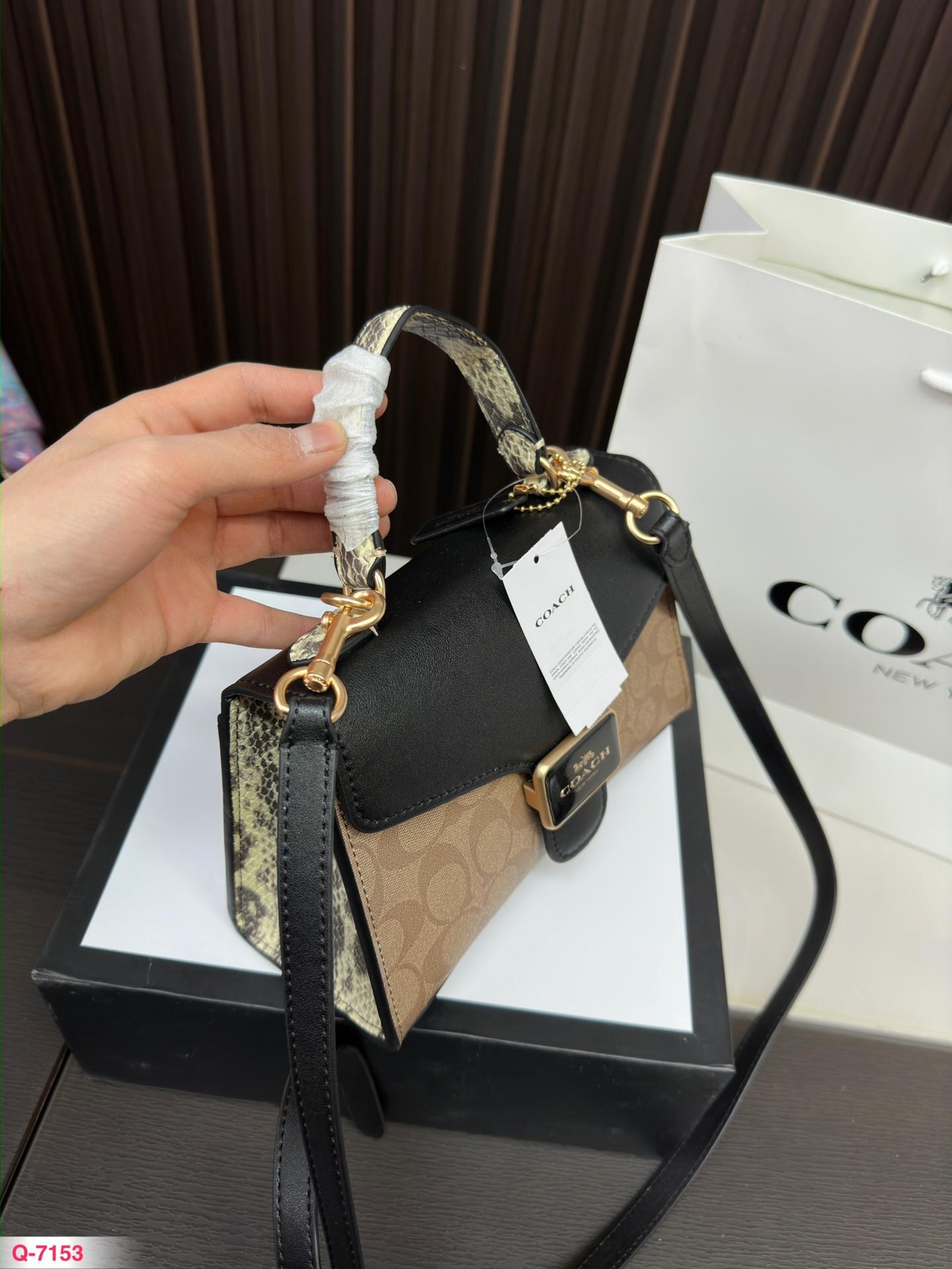 Replica Coach Bag 22*15CM