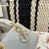 Replica Dior Bag  17CM