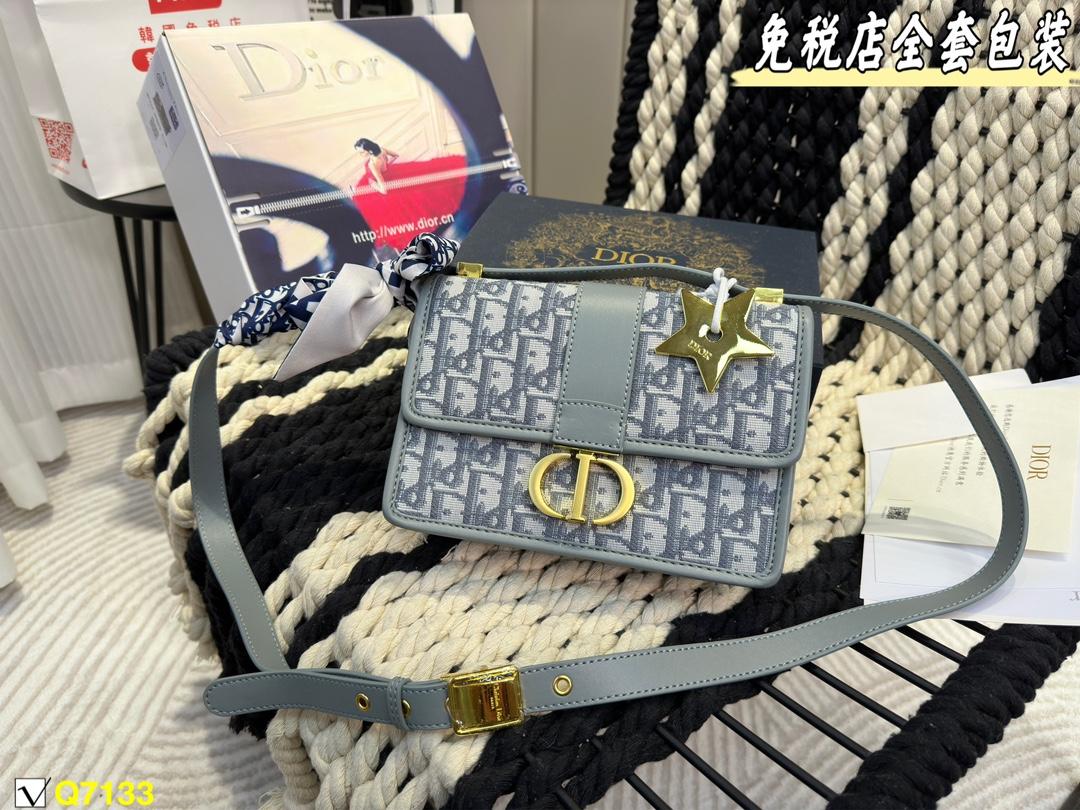 Replica Dior Bag 21*15CM