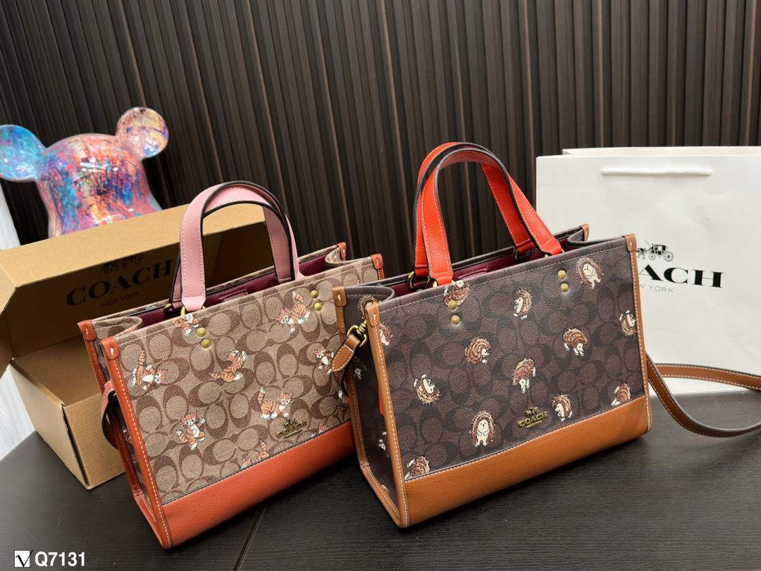 Replica Coach Bag 22*29CM
