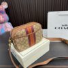 Replica Coach Bag 21*15CM