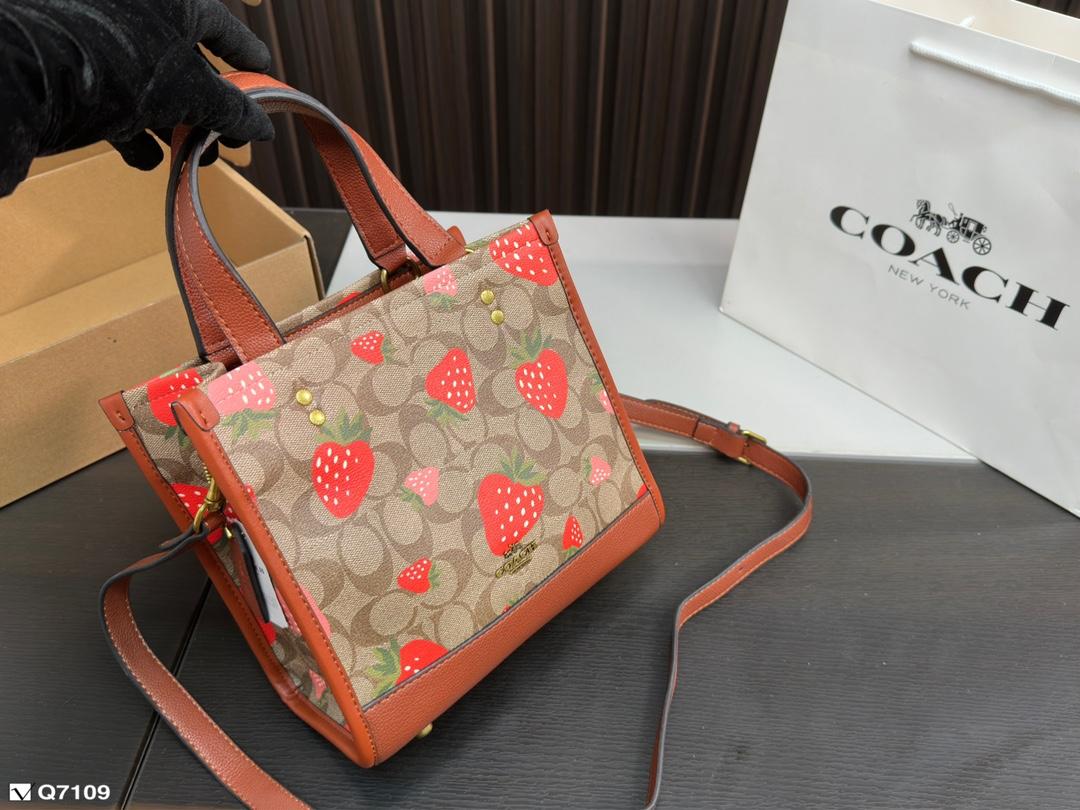 Replica Coach Bag 21*21CM