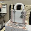 Replica Dior Bag 17CM/20CM