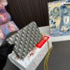 Replica Dior Bag 20*13CM