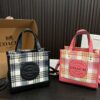 Replica Coach Bag 21*21CM