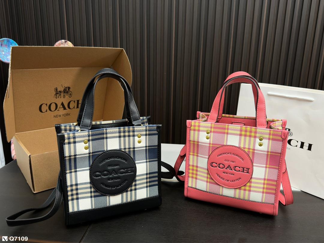 Replica Coach Bag 21*21CM