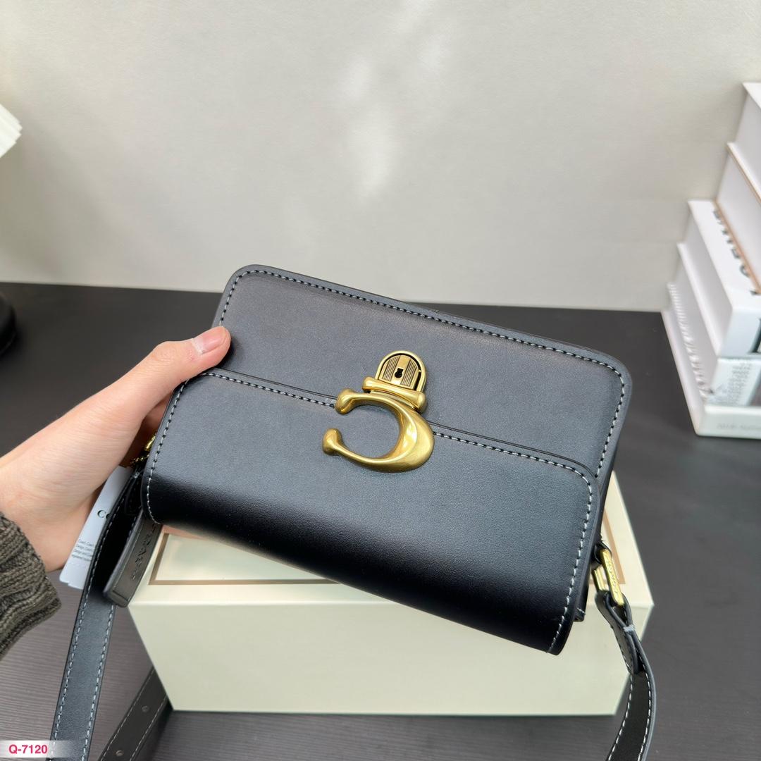 Replica Coach Bag 18*12CM