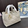 Replica Dior Bag  24*15CM/28*20CM