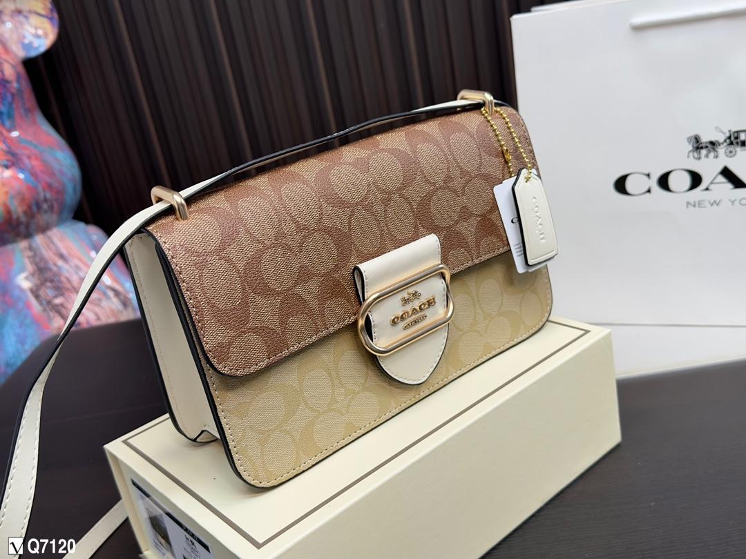 Replica Coach Bag 24*14CM