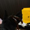 Replica Fendi Bag 34*29CM
