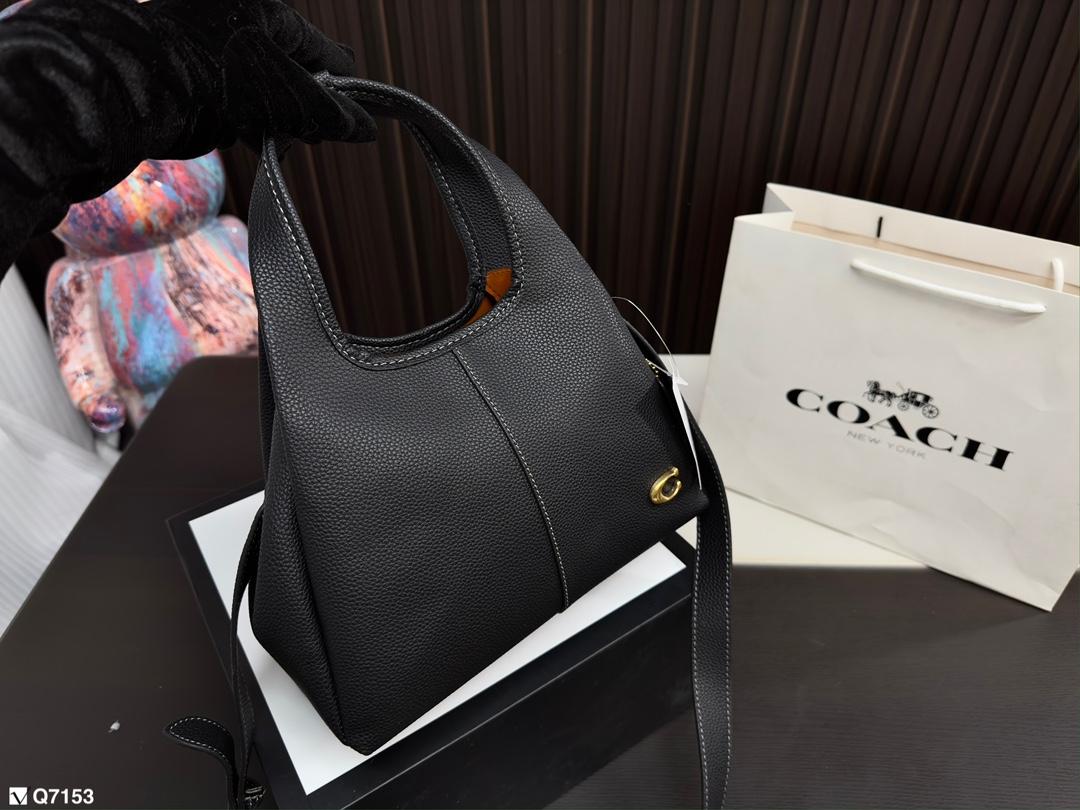 Replica Coach Bag 25*18CM