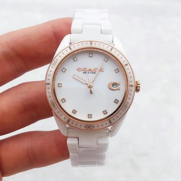 Replica COACH 904l Stainless Steel Automatic Japanese Movement Watch 35MM
