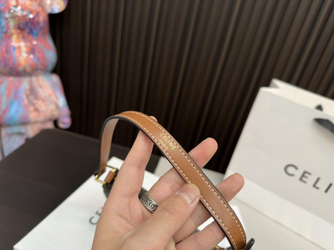 Replica Celine Bag 9*16CM
