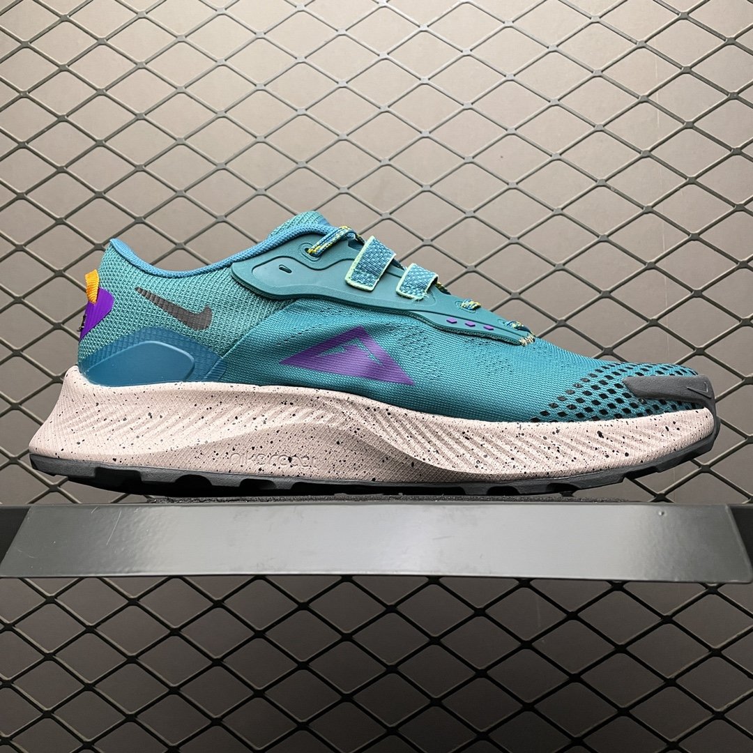 Replica Nike Shoe Nike Pegasus Trail 3 T3 DA8698-300 Size40 40.5_01340