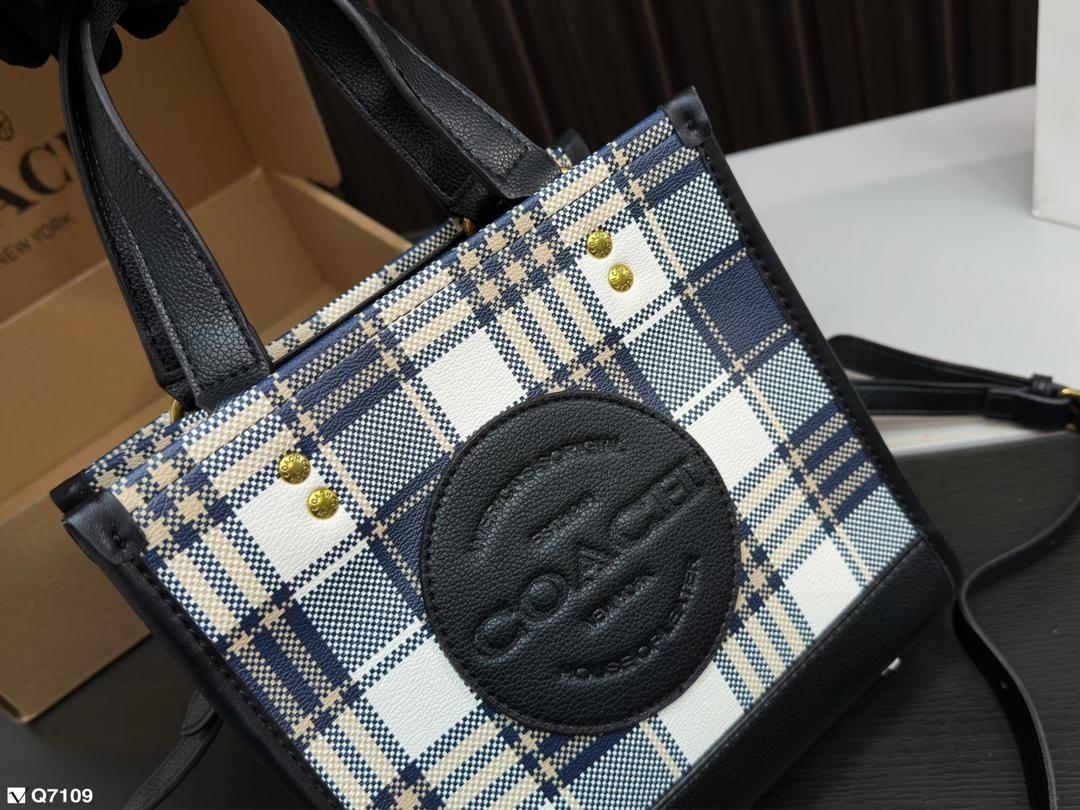 Replica Coach Bag 21*21CM