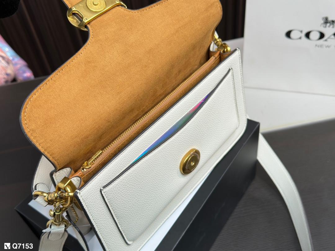 Replica Coach Bag 13*25CM
