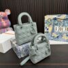 Replica Dior Bag  17*20CM/17*14CM