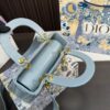 Replica Dior Bag 17*20CM