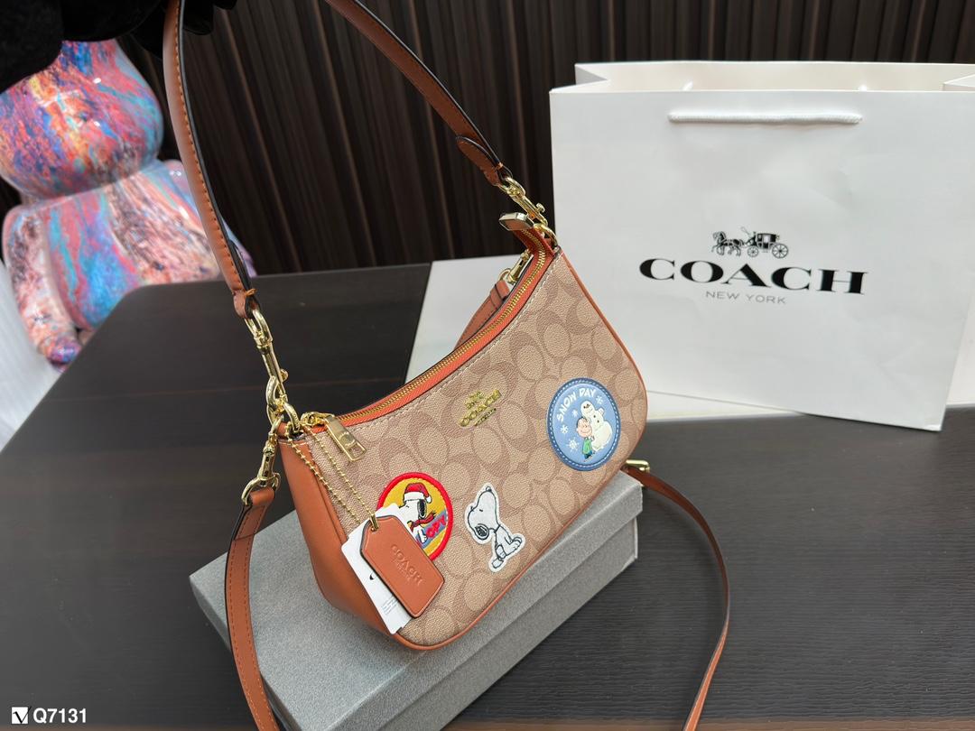 Replica Coach Bag 12*23CM