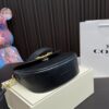 Replica Coach Bag 22*17CM
