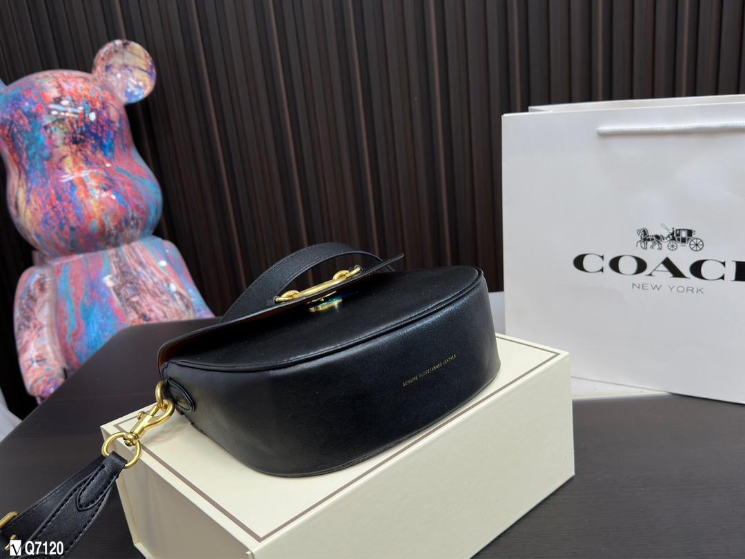 Replica Coach Bag 22*17CM