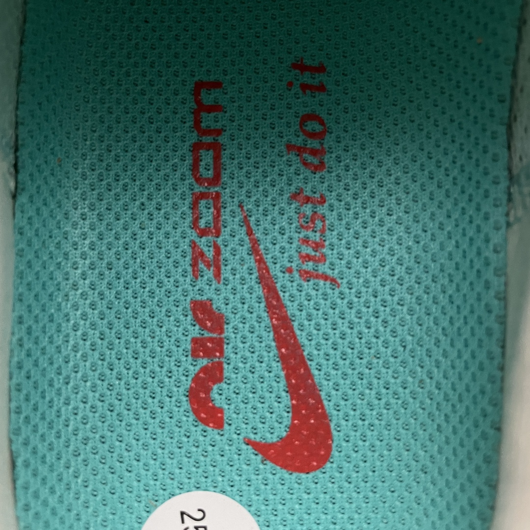 Replica Nike Shoe Nike Air Zoom Pegasus 40 DV3854-300 Size 36-40
