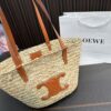 Replica Celine Bag  19*19CM/27*27CM