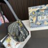 Replica Dior Bag 22*14CM