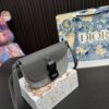 Replica Dior Bag 13*19CM