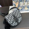 Replica Dior Bag 19*12CM