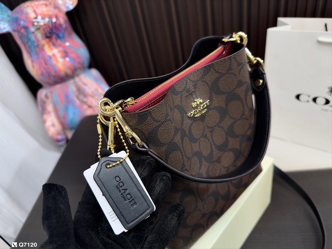 Replica Coach Bag 20*22CM